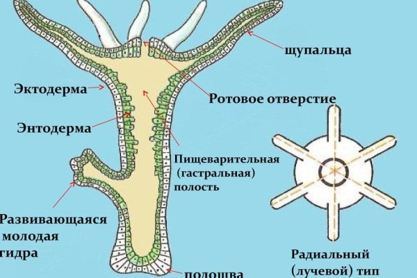 Кракен store