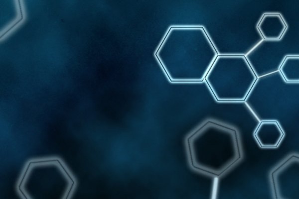 Кракен актуальная ссылка kraken torion net