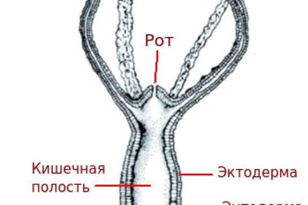 Кракен зеркало впн