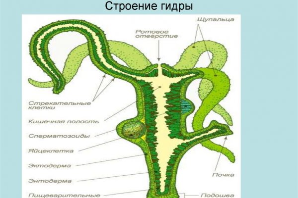 Кракен сайт зеркало рабочее