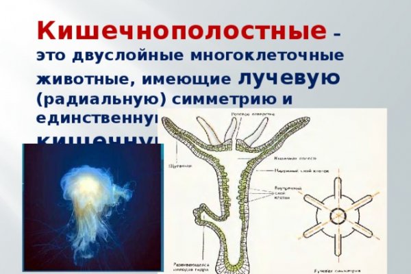 Какая сейчас ссылка на кракен