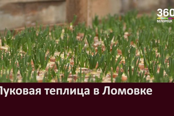 Почему не работает кракен