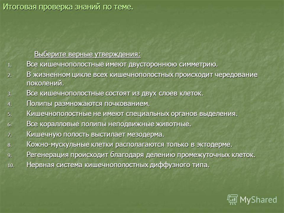 Что с кракеном сайт
